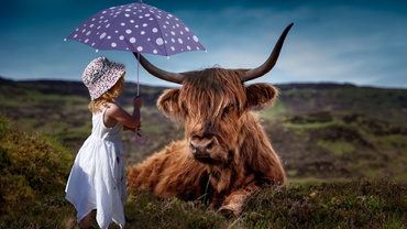 Vaca, porcul și cățelul sunt animale sau copii?