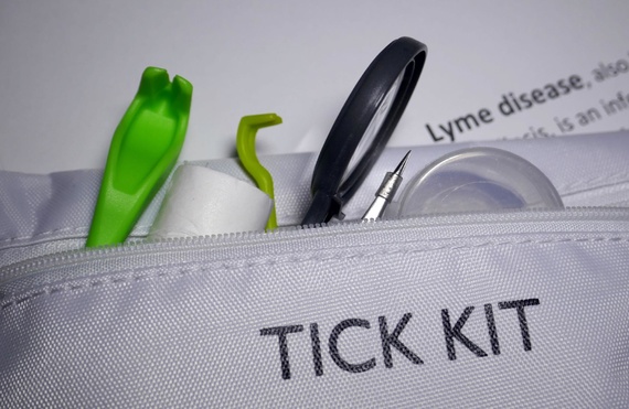 Sezonul căpușelor și copiii. Ce pui în trusa de prim ajutor când mergi la parc